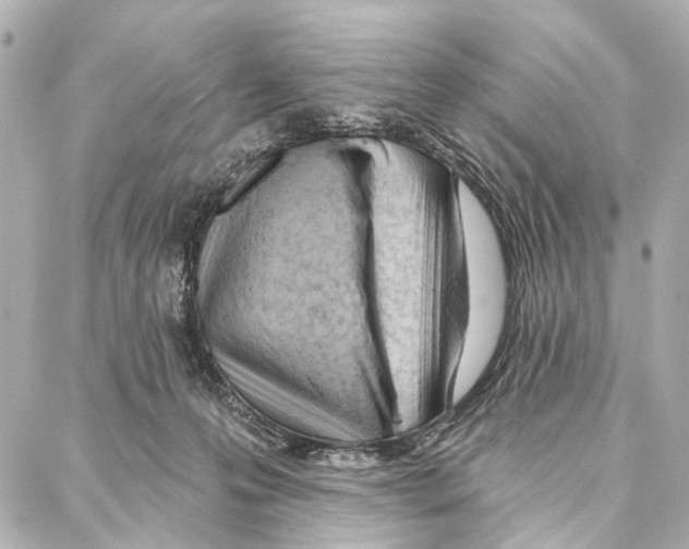 X0000086980223200705141724