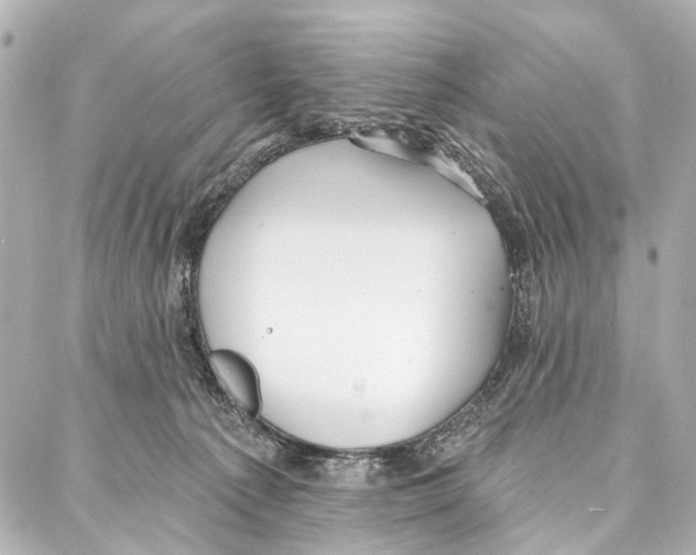 X0000086980225200705141724