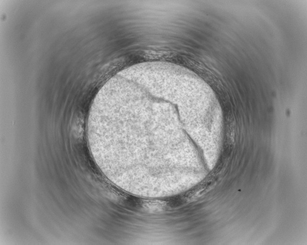 X0000086980226200705141724