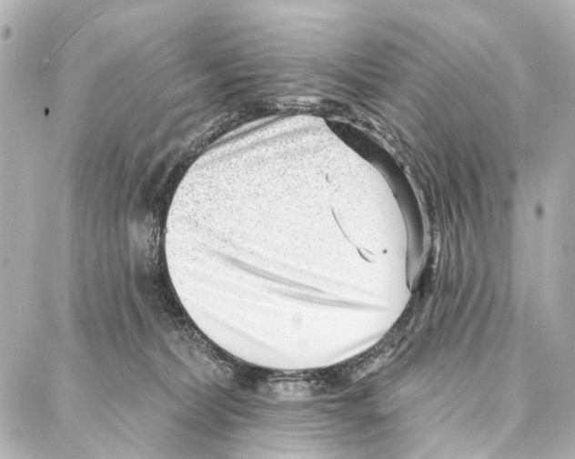 X0000086980228200705141724