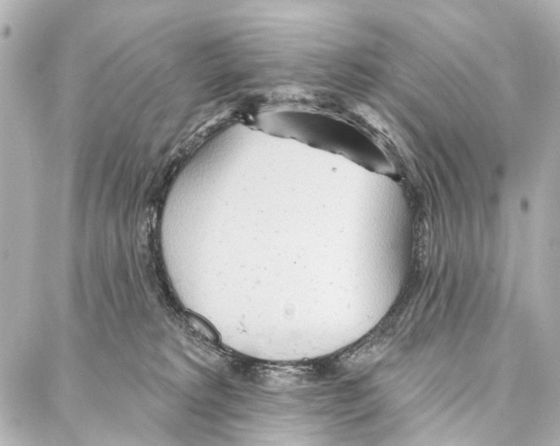 X0000086980229200705141724