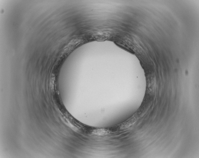 X0000086980231200705141724