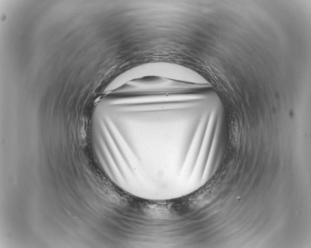 X0000086980232200705141724