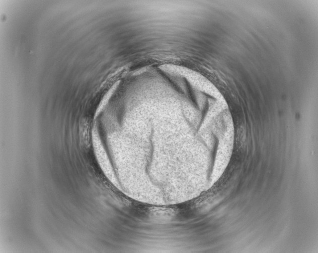 X0000086980234200705141724