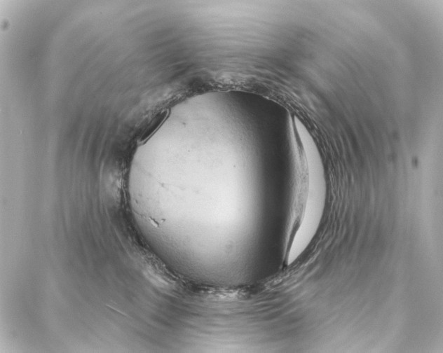 X0000086980235200705141724