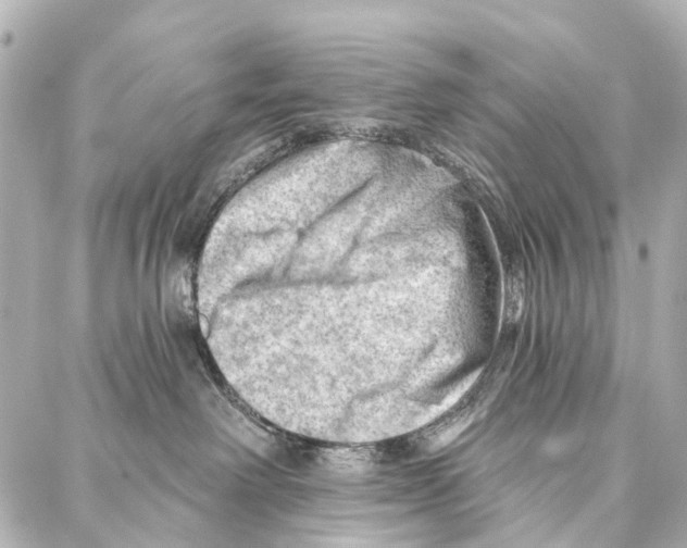 X0000086980238200705141724