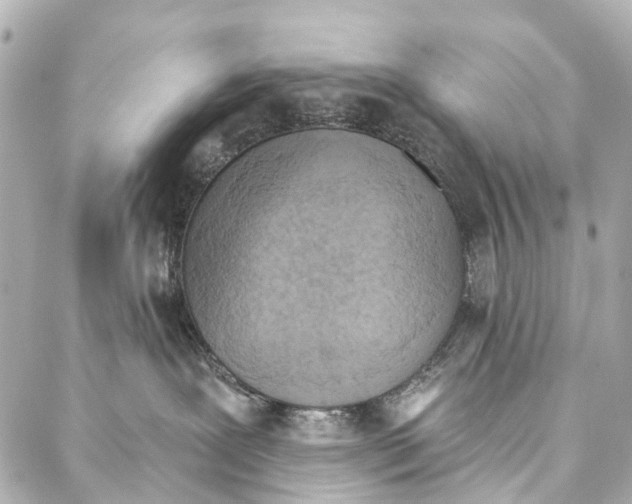 X0000086980239200705141723