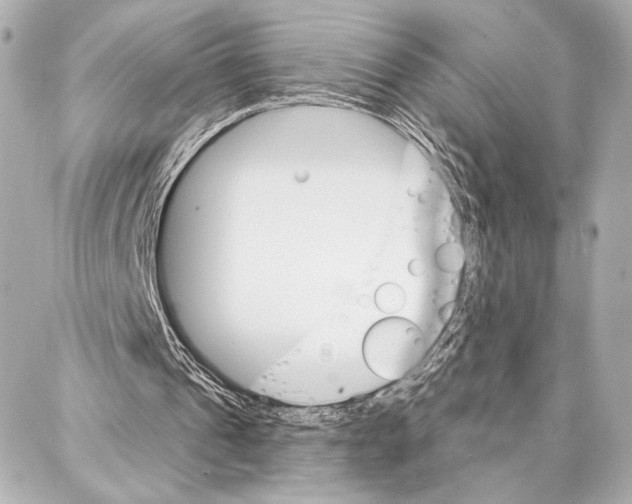 X0000086980241200705141723