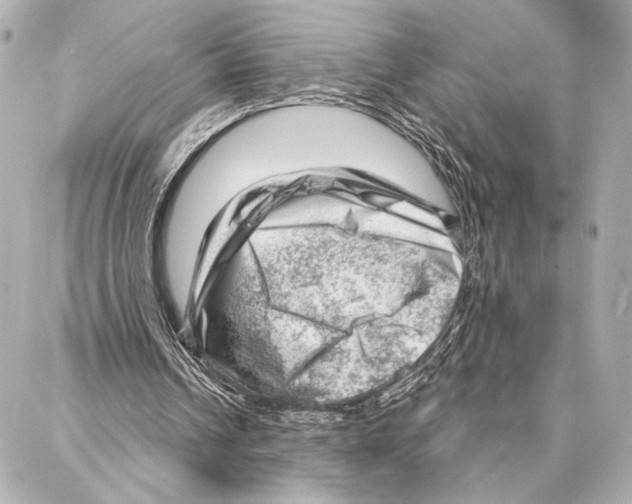 X0000086980242200705141723