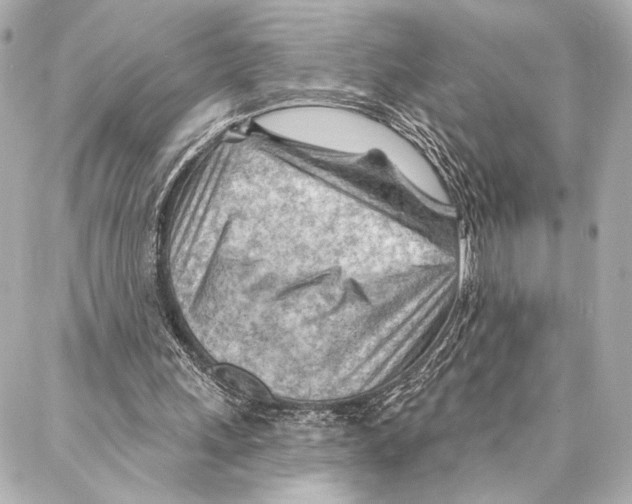 X0000086980243200705141723