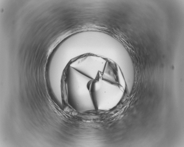 X0000086980244200705141723