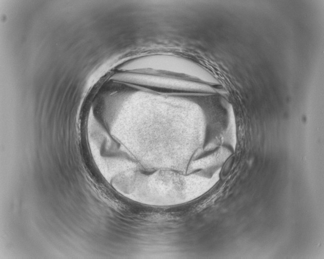 X0000086980246200705141723