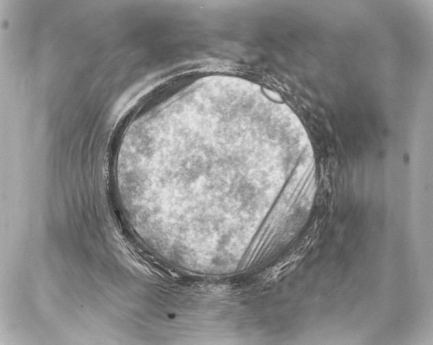 X0000086980247200705141723