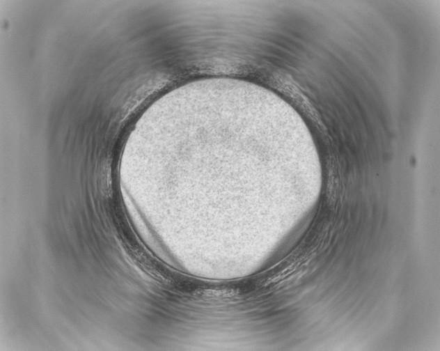 X0000086980251200705141723