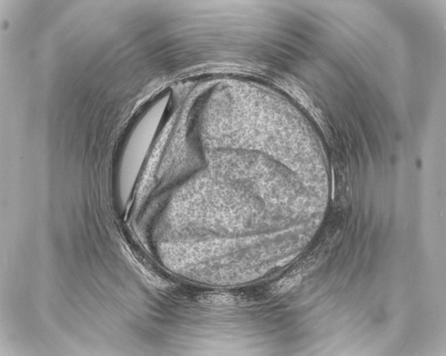 X0000086980253200705141723