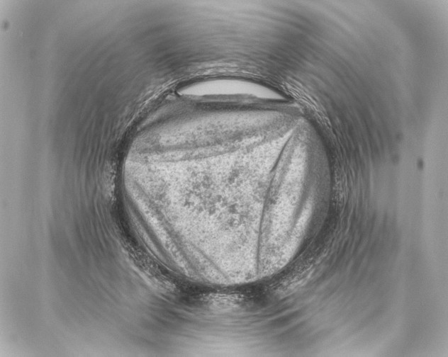 X0000086980255200705141723