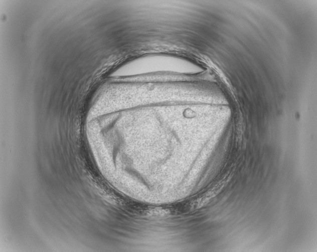 X0000086980257200705141723