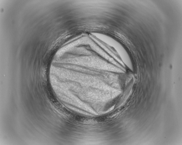 X0000086980258200705141723