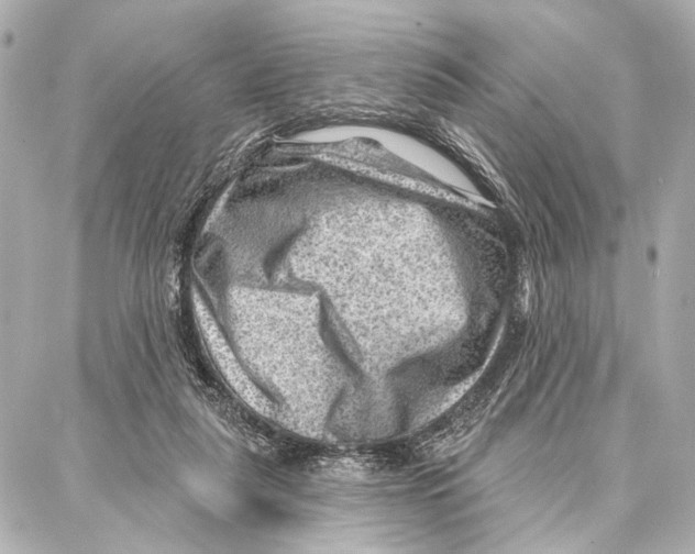 X0000086980259200705141723