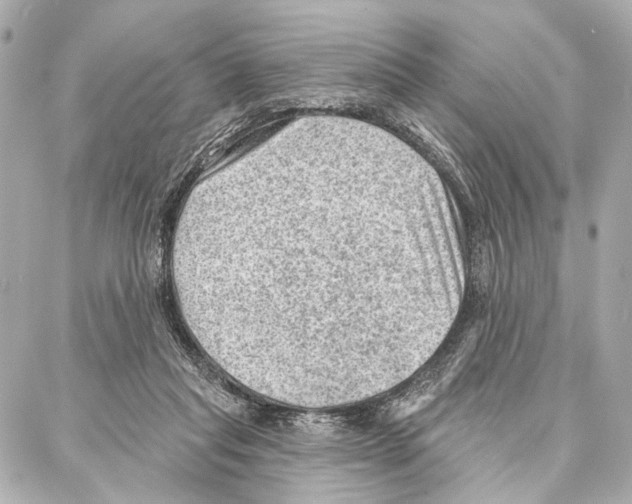 X0000086980261200705141723