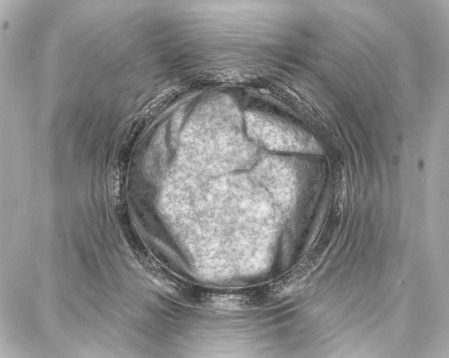 X0000086980268200705141723