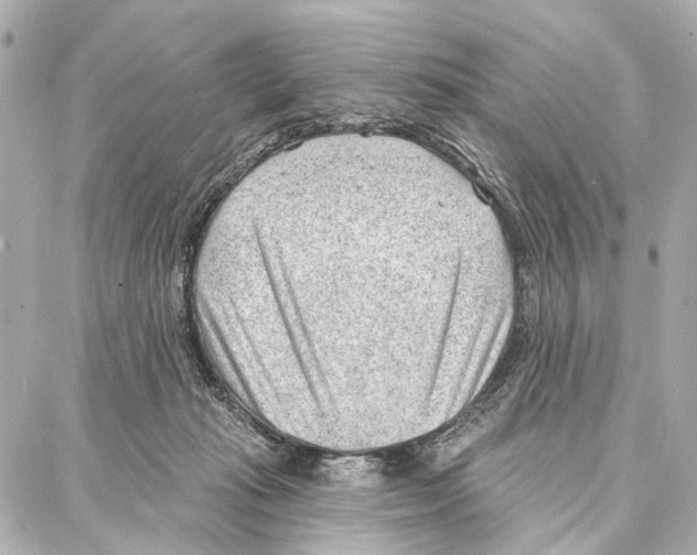 X0000086980269200705141723