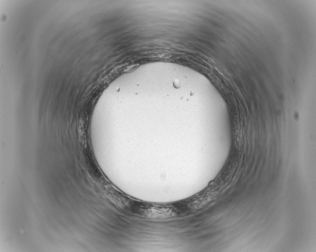 X0000086980270200705141723