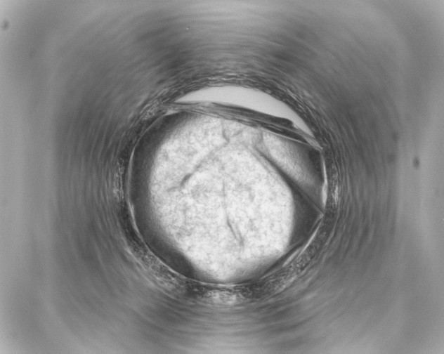 X0000086980272200705141723