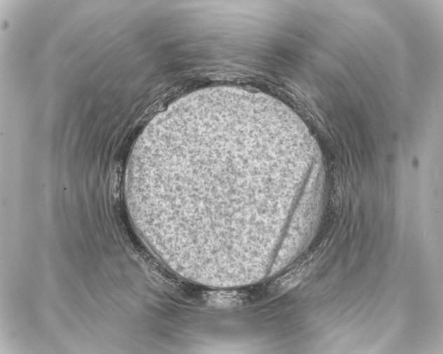 X0000086980273200705141723