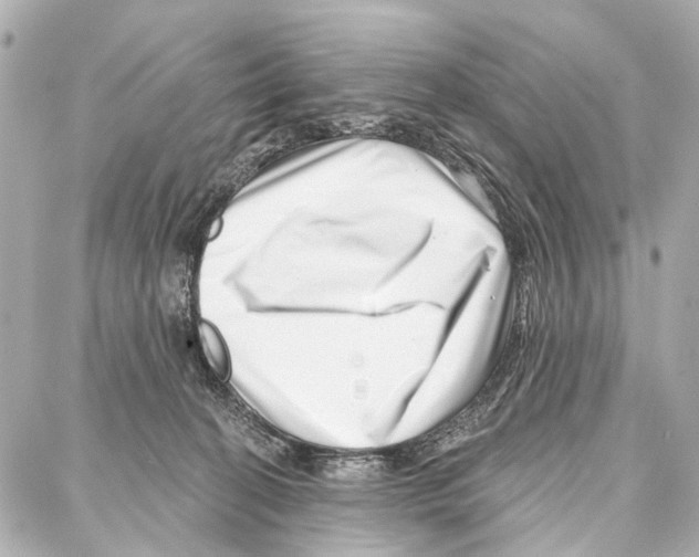 X0000086980274200705141723