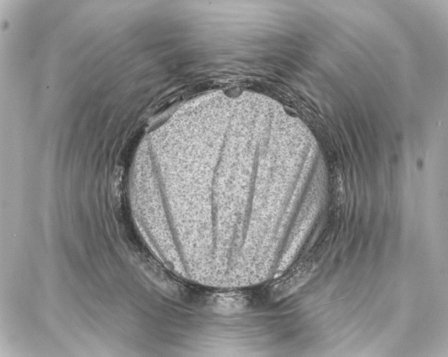 X0000086980275200705141723