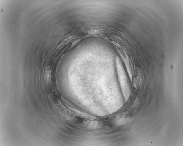 X0000086980276200705141723