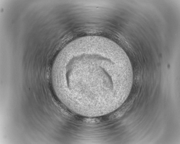 X0000086980277200705141723