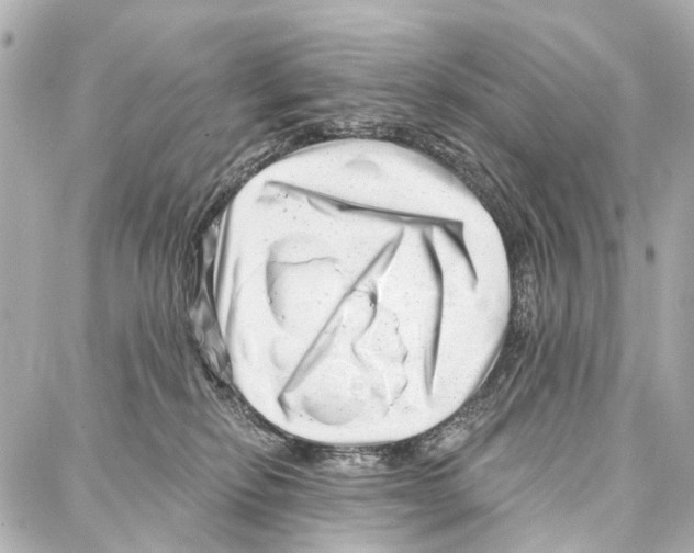 X0000086980278200705141723