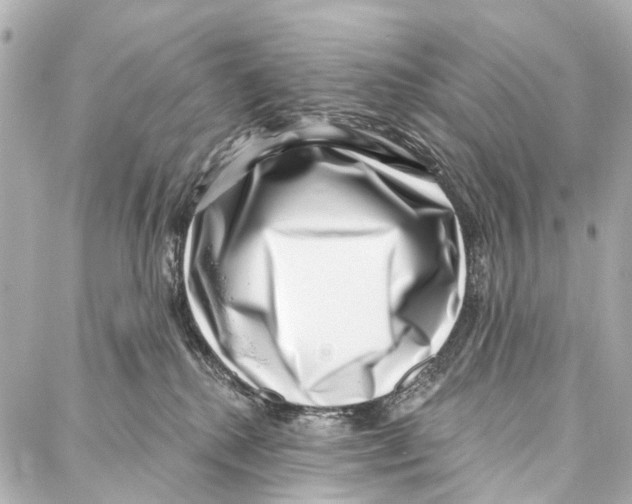 X0000086980280200705141723