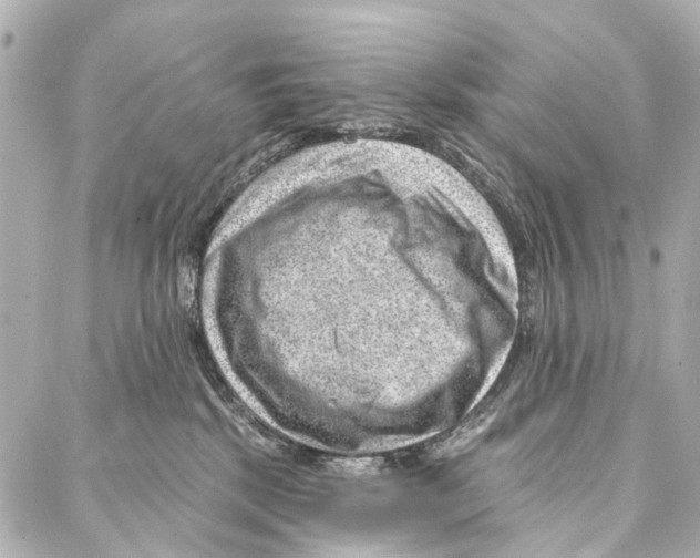 X0000086980281200705141723