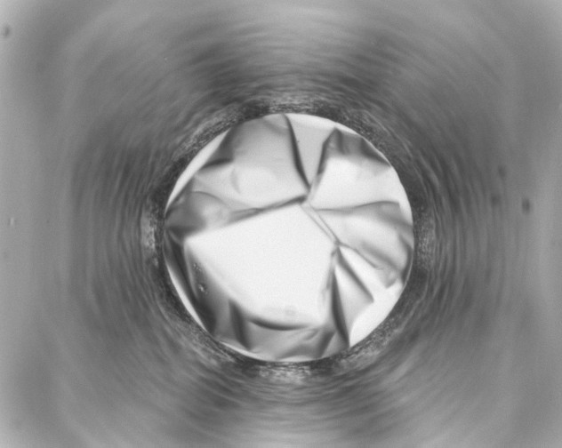 X0000086980282200705141723