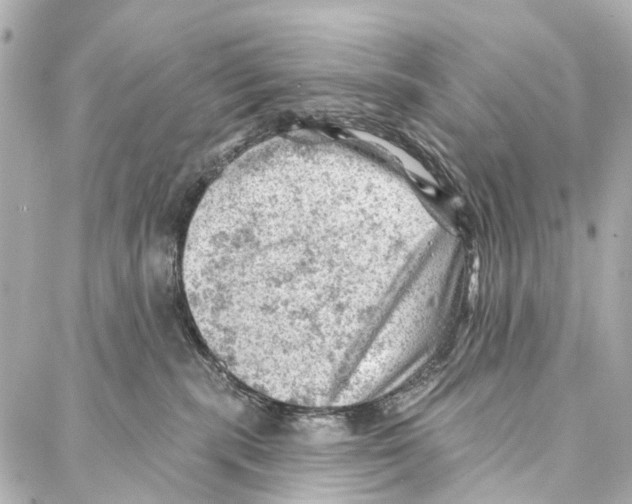 X0000086980283200705141723