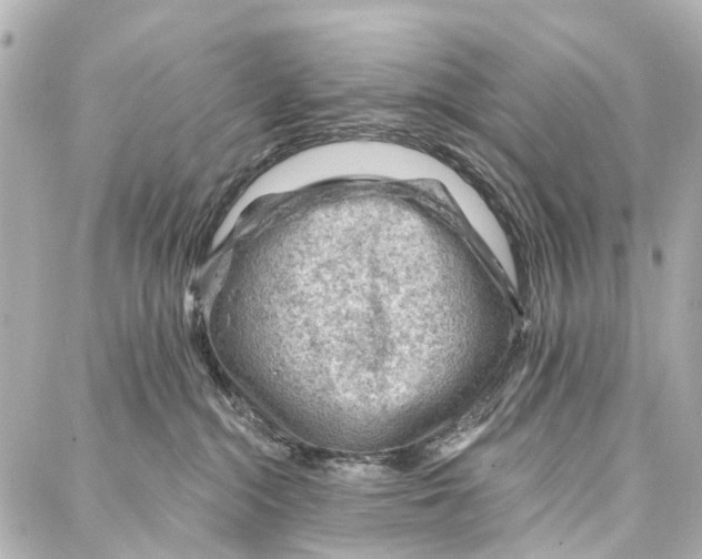 X0000086980284200705141723