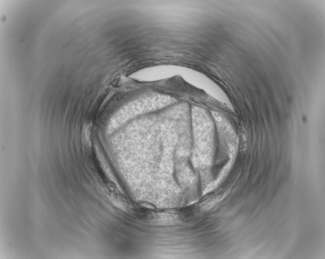 X0000086980286200705141723