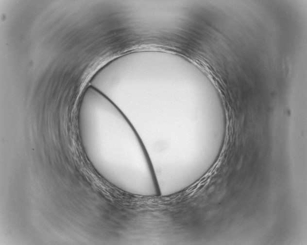 X0000086980289200705141723