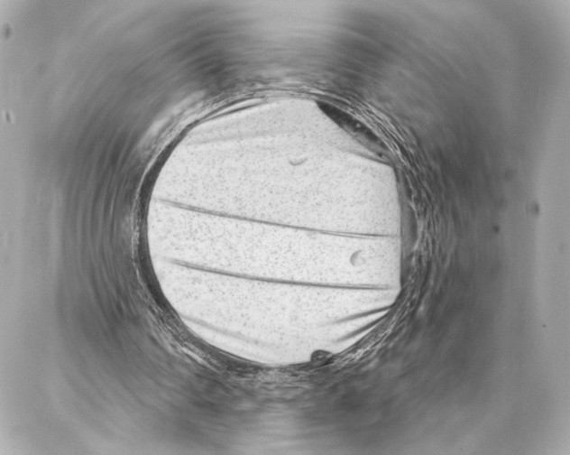 X0000086980290200705141723