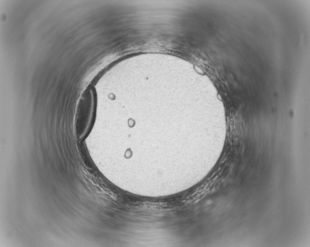 X0000086980292200705141723