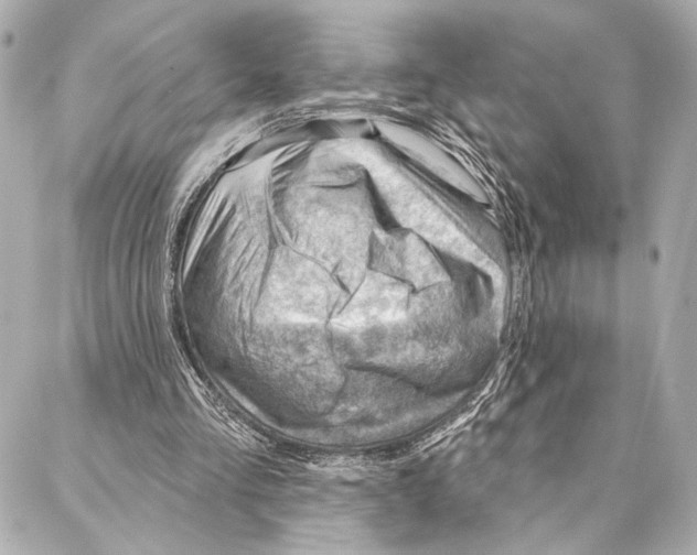 X0000086980293200705141723