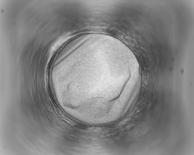 X0000086980294200705141723