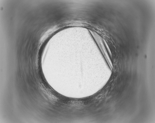 X0000086980296200705141723