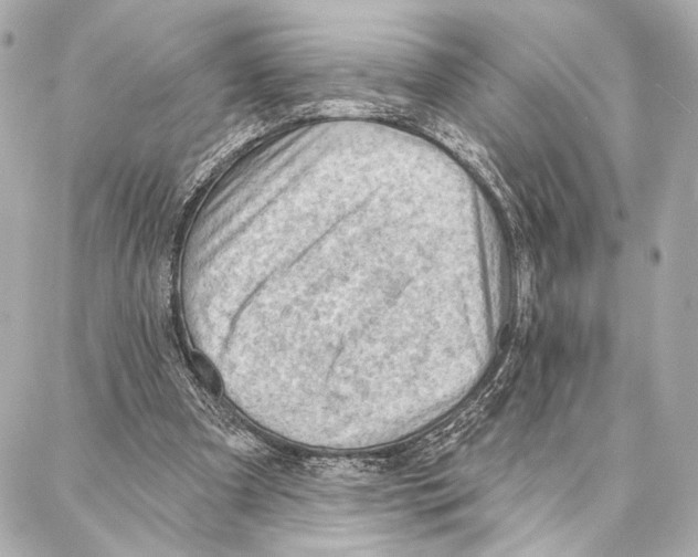 X0000086980297200705141723