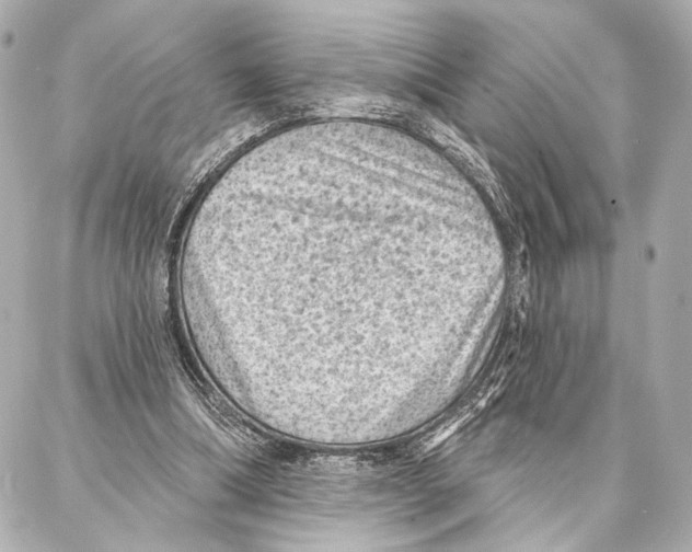 X0000086980298200705141723