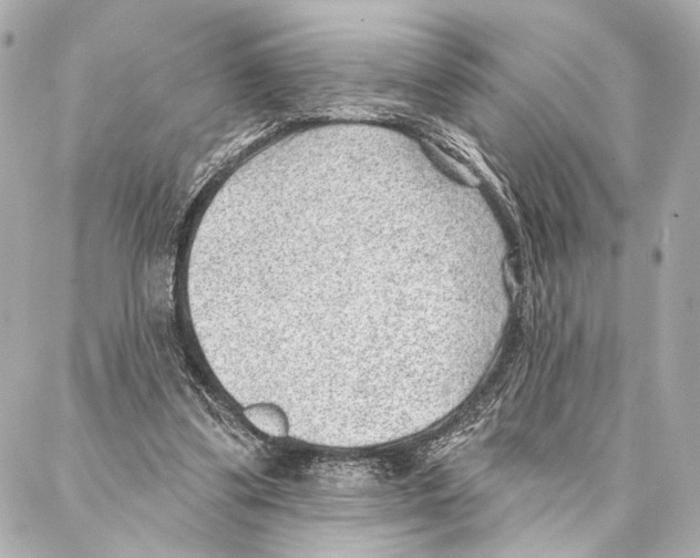 X0000086980299200705141723