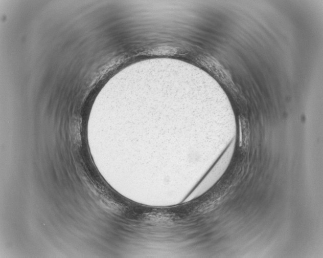 X0000086980300200705141722